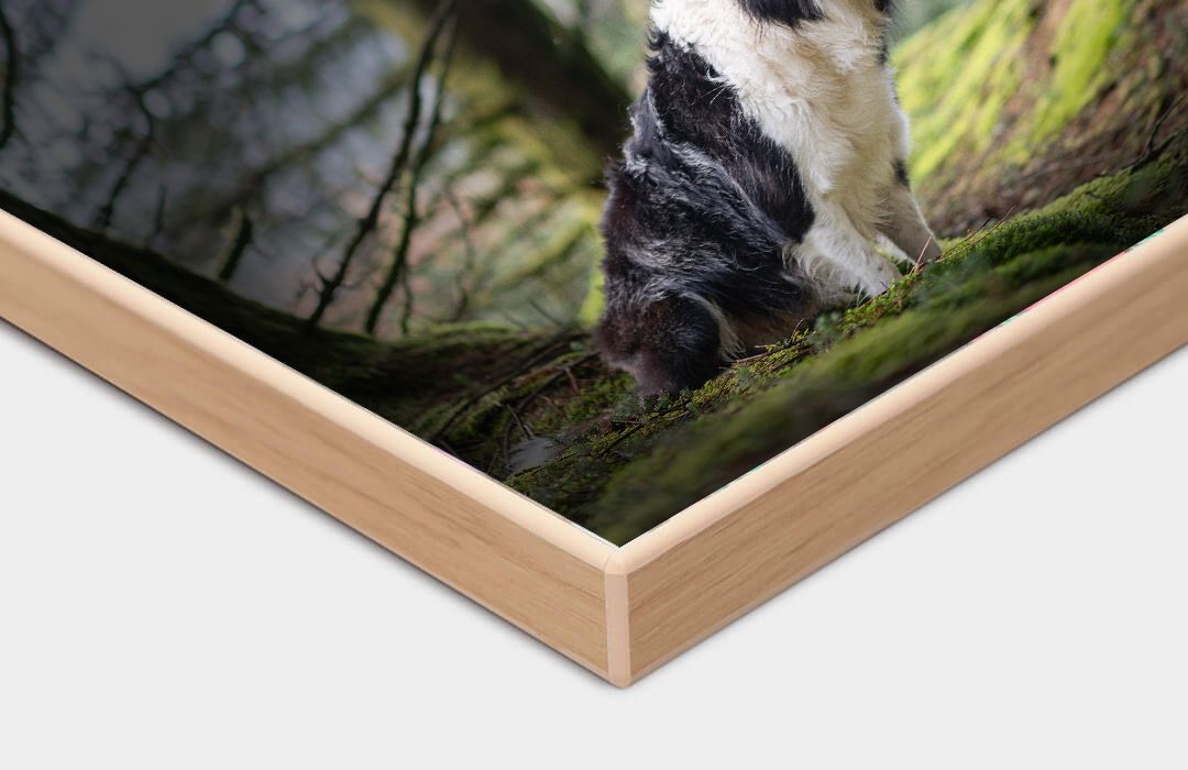 Close up of wooden edge print. Product of 4 Ever Paw Prints Pet Photography