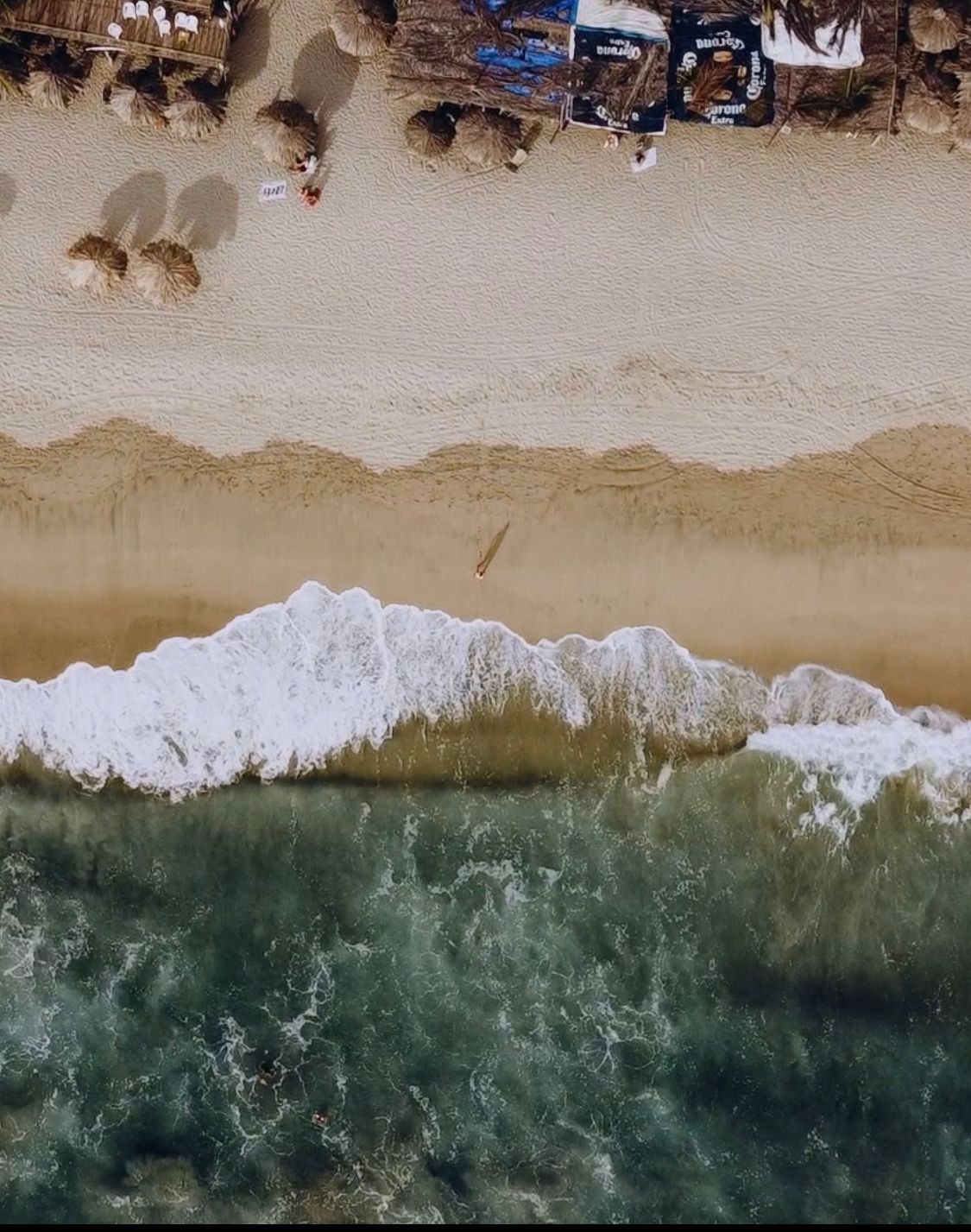 Bird's eye view of turquoise ocean waves meeting sandy beach with palm trees.