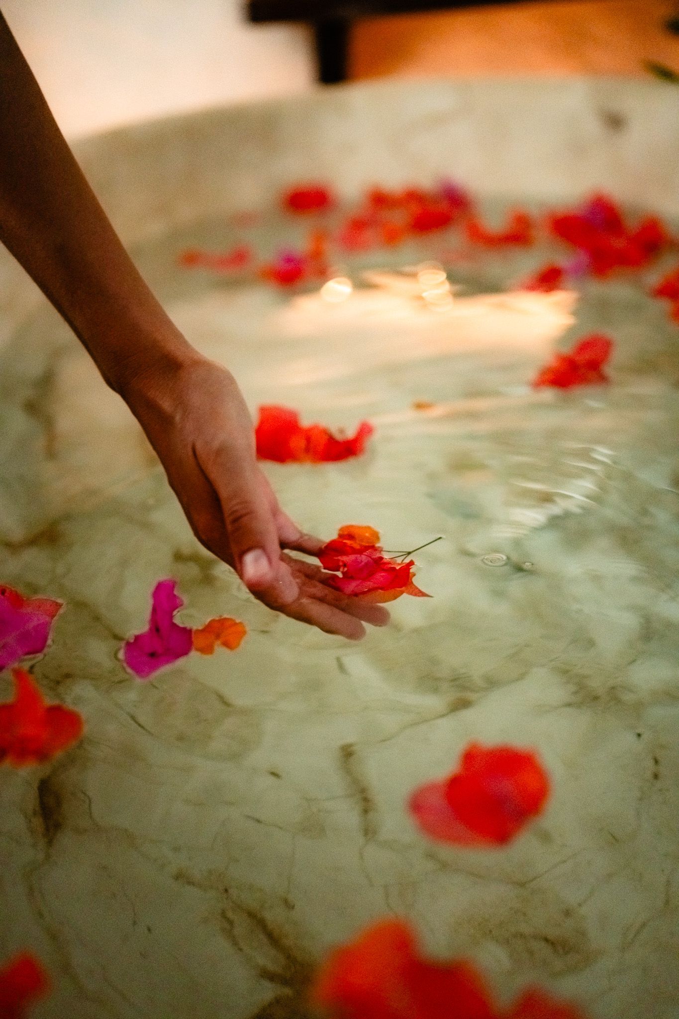 A hand gently places vibrant red and pink flower petals on a textured white surface in an artistic arrangement.