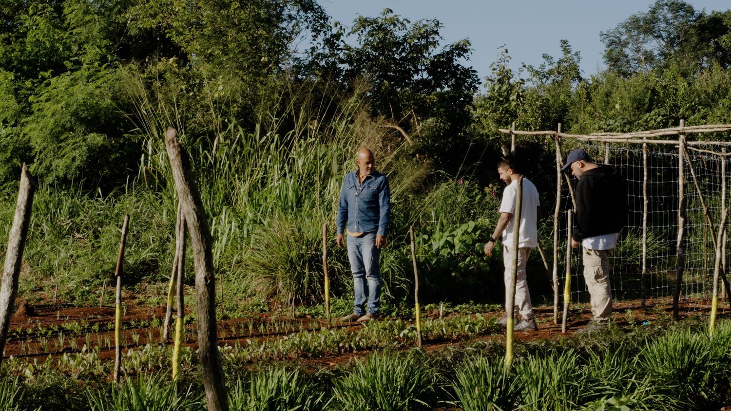 Panoramic view of a horse farm with green pastures, wooden fences and people walking along the trails on a sunny day.