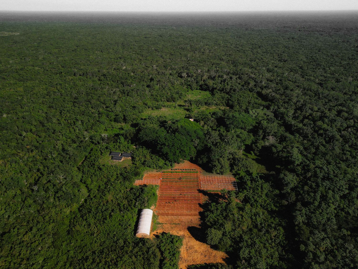 Aerial view shows deforestation pattern in Amazon rainforest with cleared orange soil contrasting against dense green canopy.