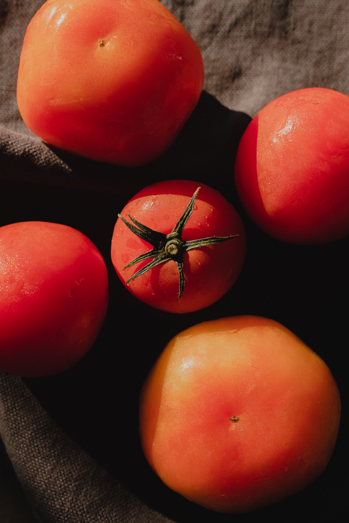 Fresh ripe red tomatoes arranged on dark textured fabric with dramatic lighting and shadows.