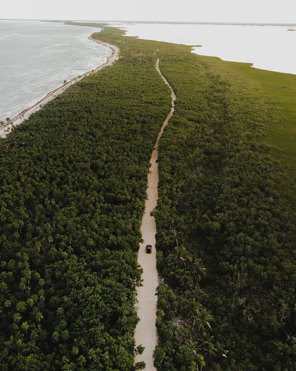 Aerial view of a winding path through lush tropical forest leading to coastline.
