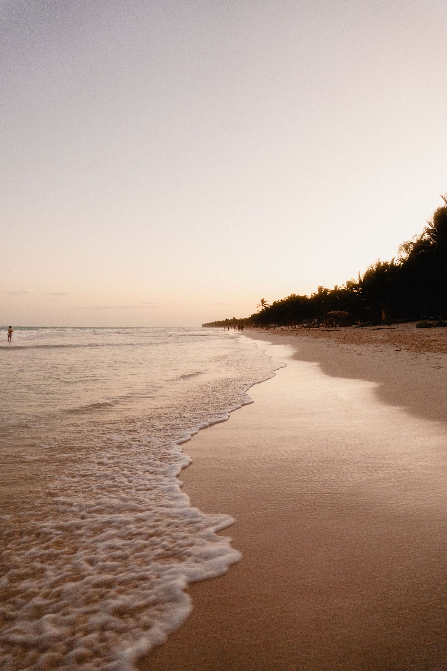 Serene beach landscape at sunset with gentle waves lapping against sandy shore and distant trees silhouetted on horizon.