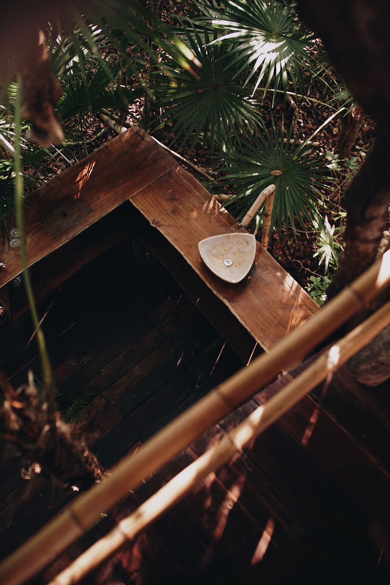 Palm fronds and tropical plants create dramatic shadows and patterns in low lighting.