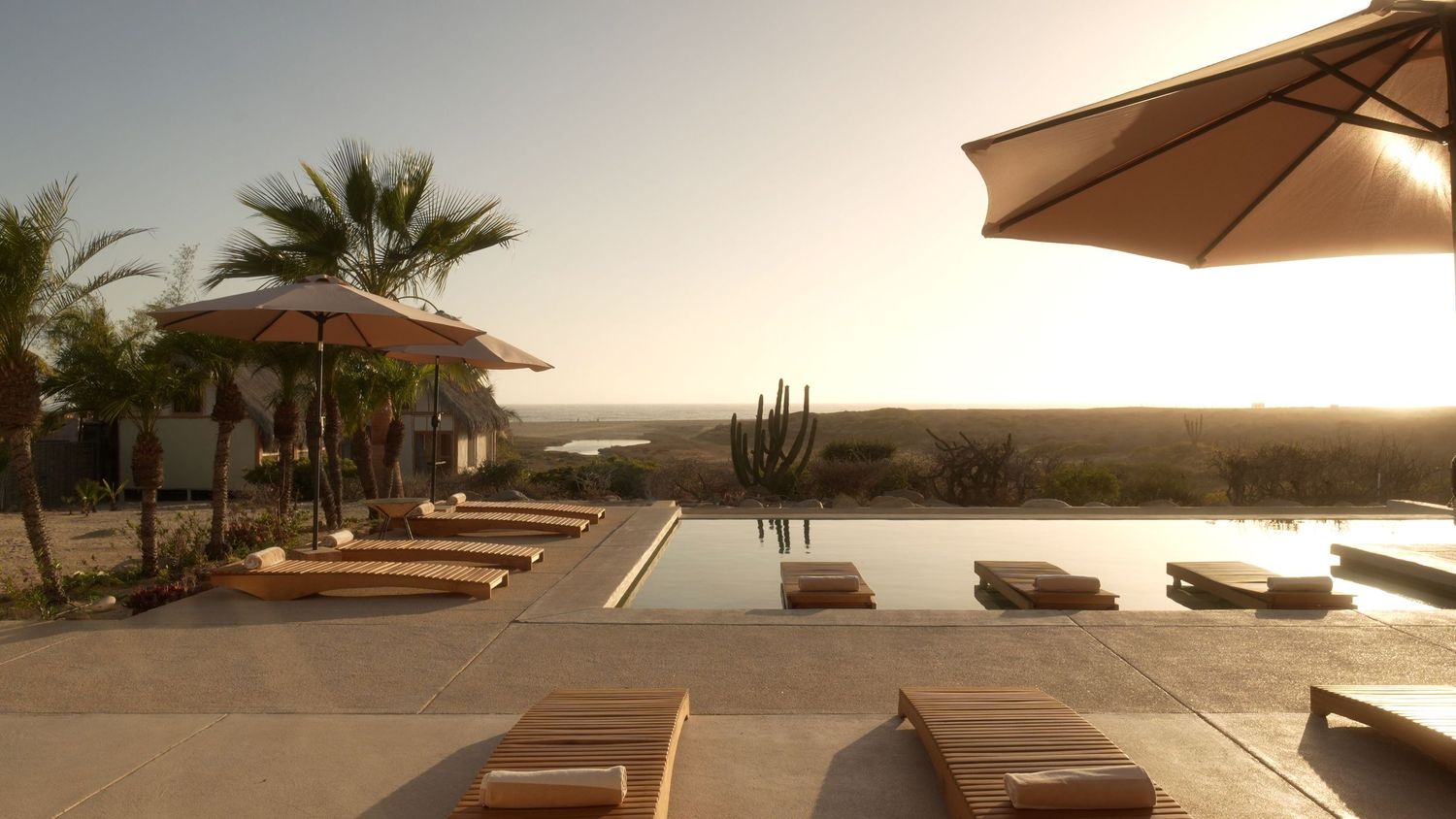 Luxurious beachfront resort with palm trees and lounge chairs under umbrellas at sunset.