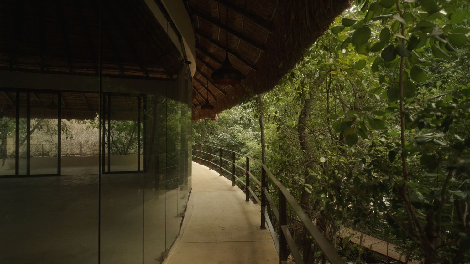 Serene covered walkway with glass walls beside lush tropical trees in a peaceful garden setting.
