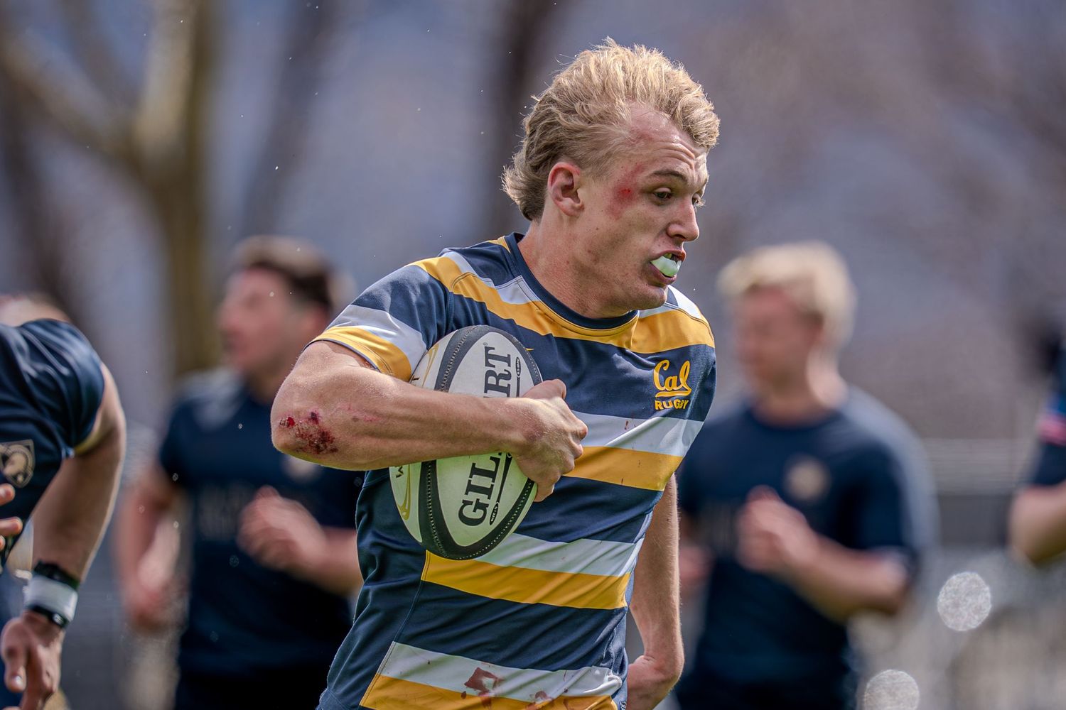 Rugby players in blue and yellow striped jerseys compete intensely during a match on the field.