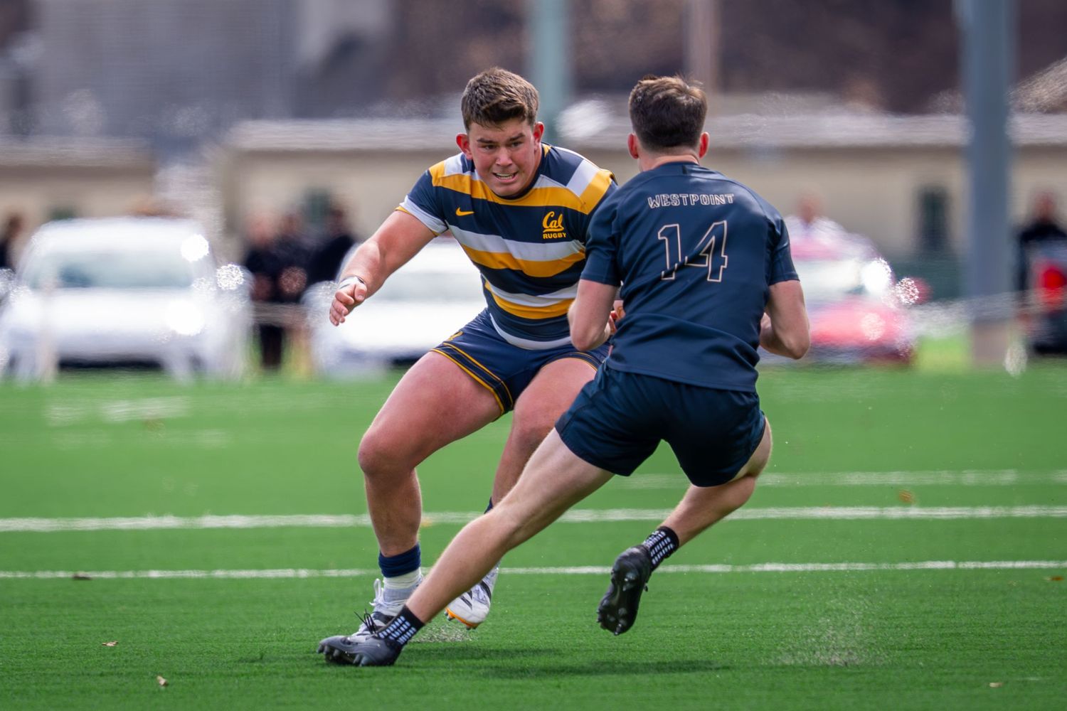 Two rugby players face off on a grass field during an intense match between teams in blue and striped uniforms.