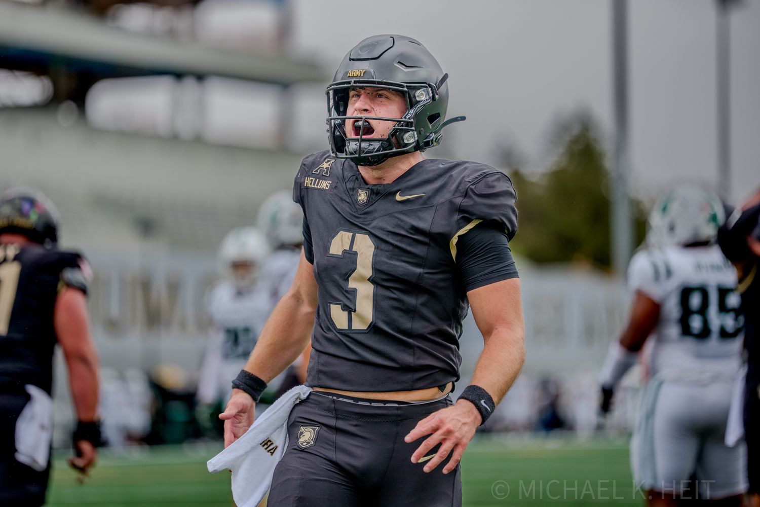 Football players in dark uniforms prepare for a play during a game.