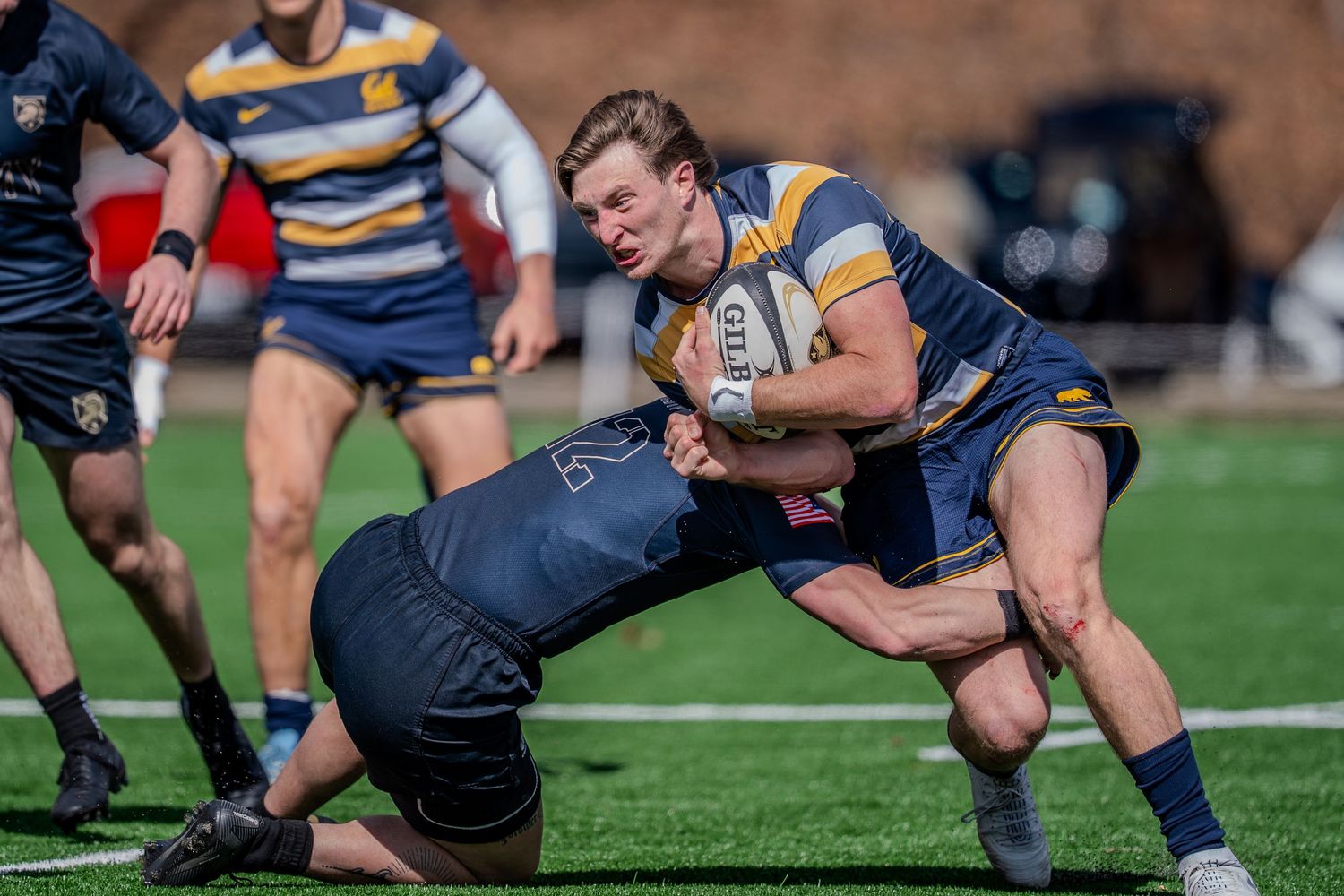 Rugby player in blue and gold striped jersey breaks through tackle attempt during competitive match on turf field.