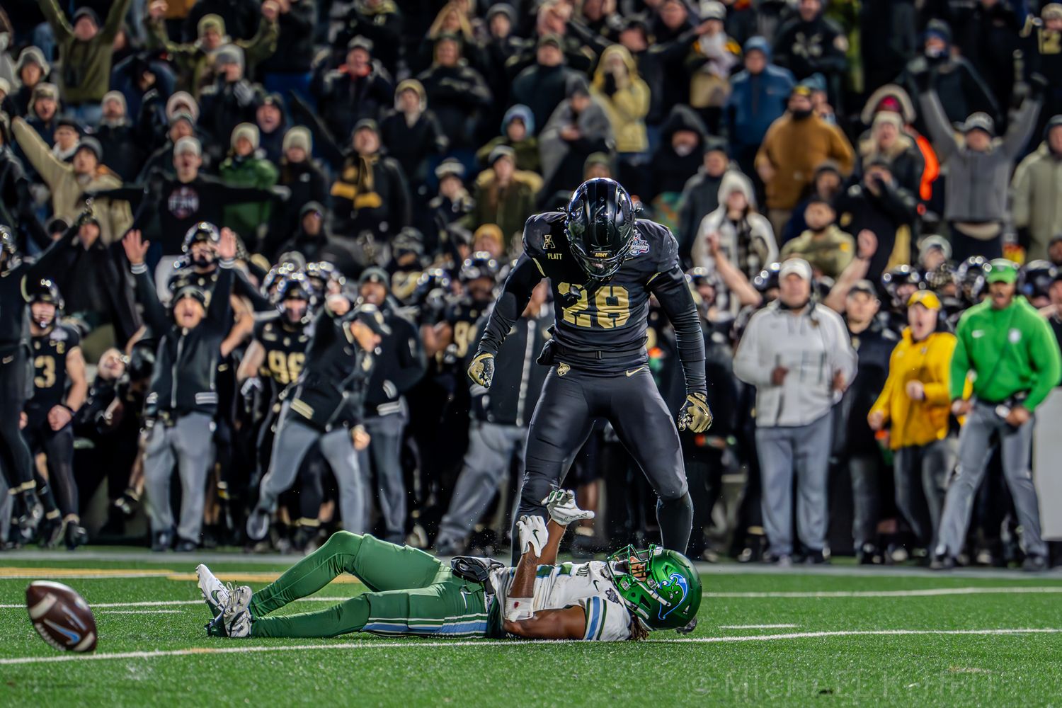 Football fans cheer in the stadium stands during an exciting game moment.