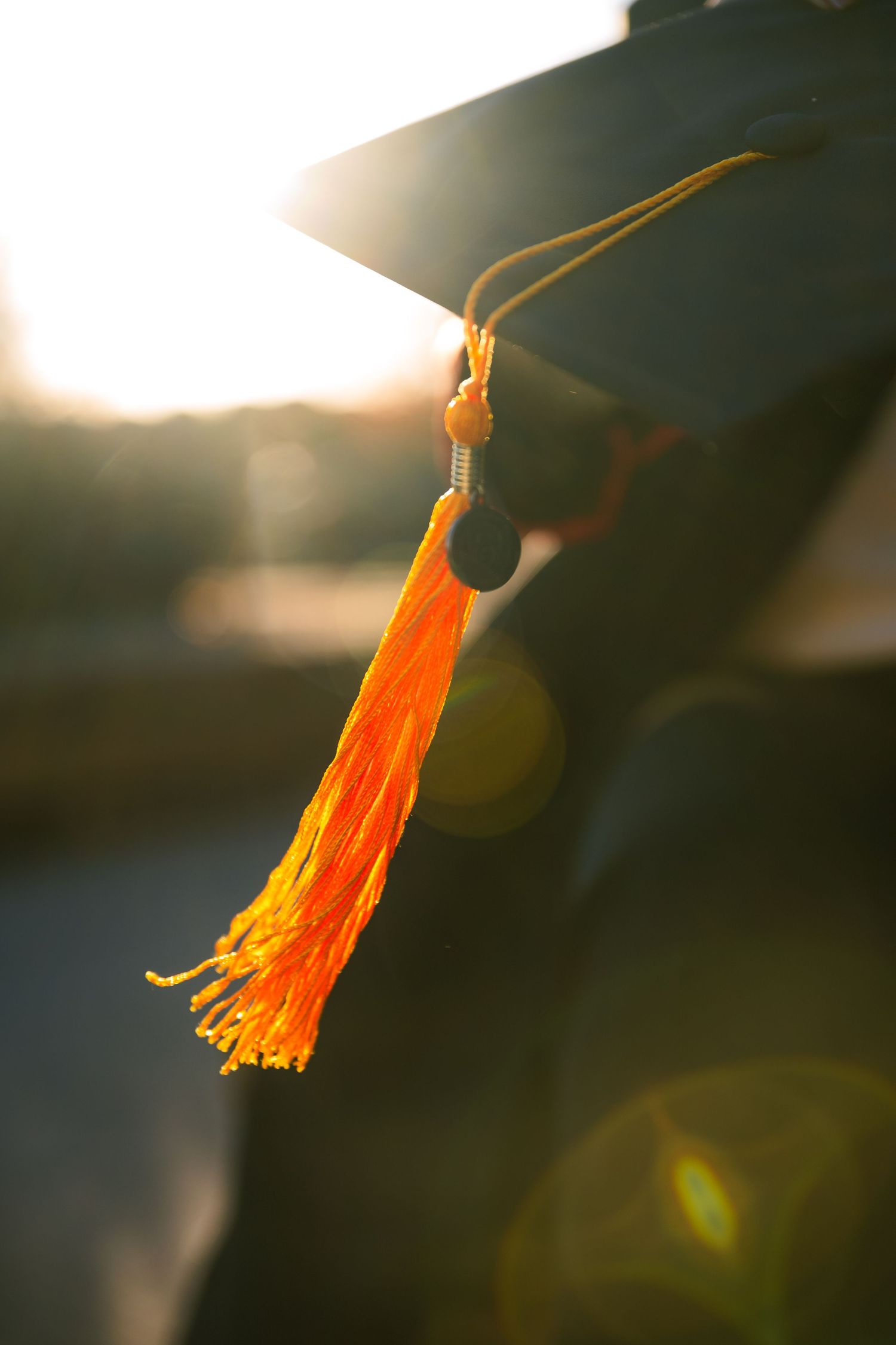 A close-up of a black graduation cap with an orange tassel glowing in warm sunlight.