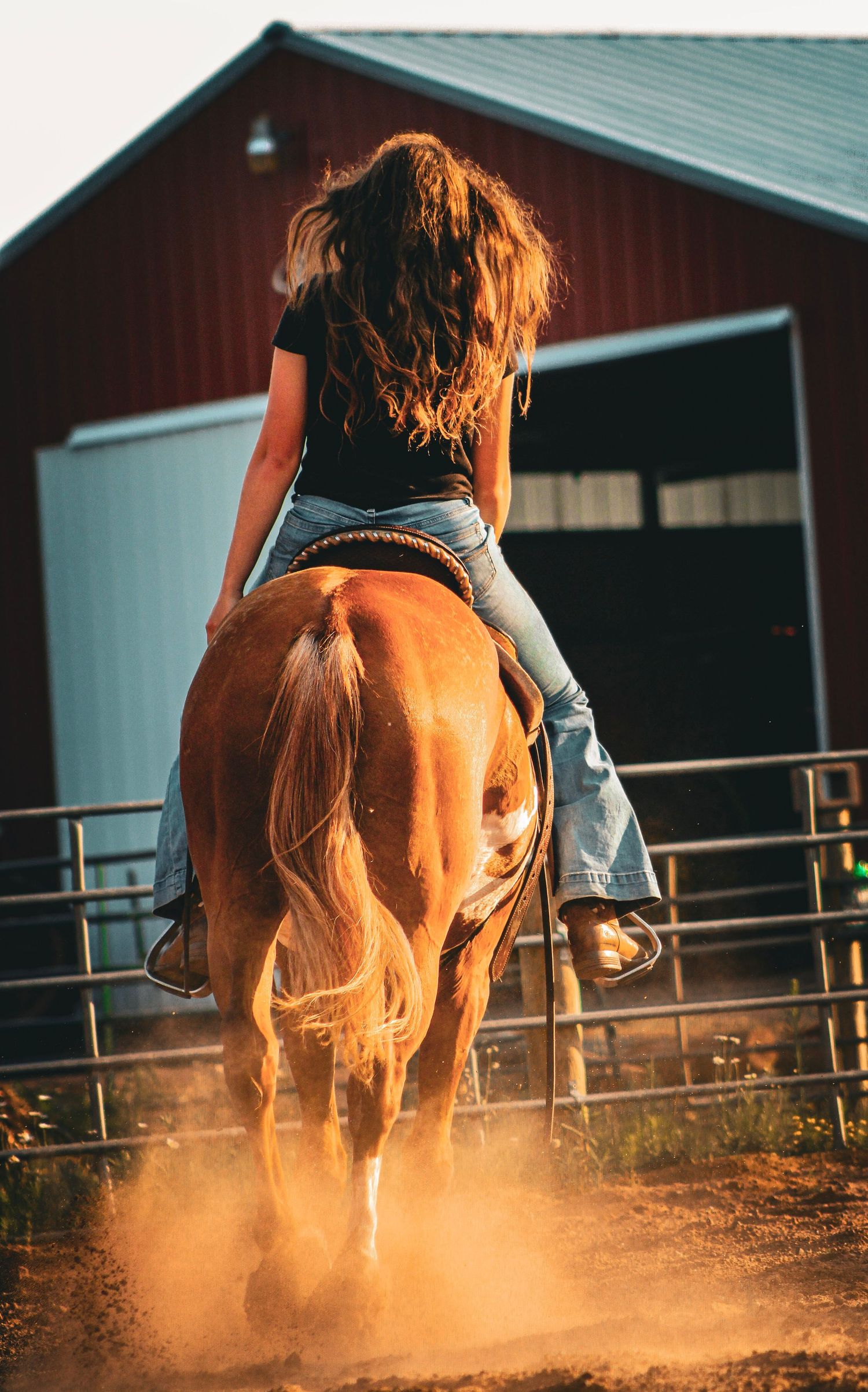 A young woman with long hair rides a chestnut horse bareback near a red barn, kicking up dust in golden light.