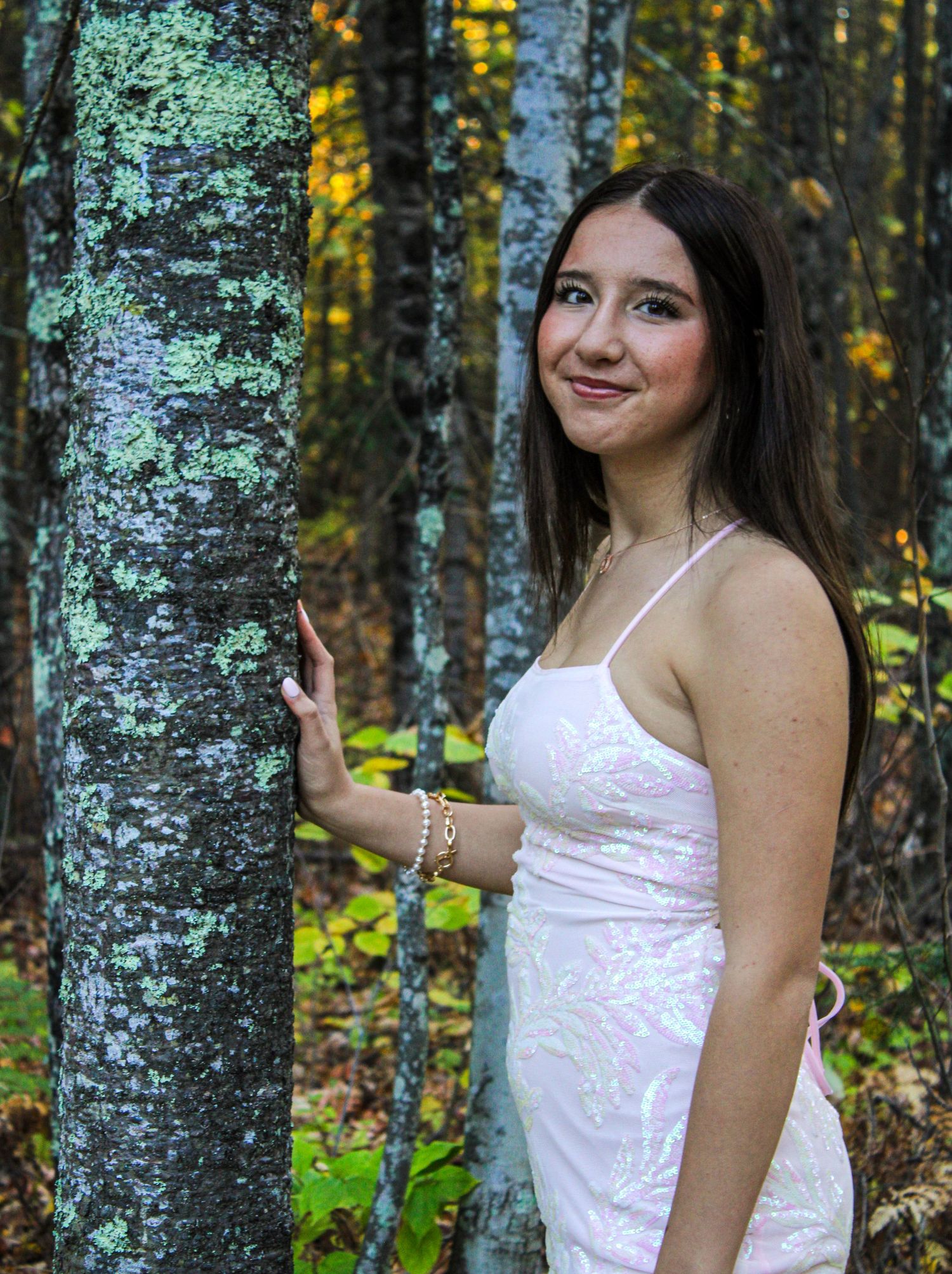 White birch trees in a forest with golden autumn foliage in background.