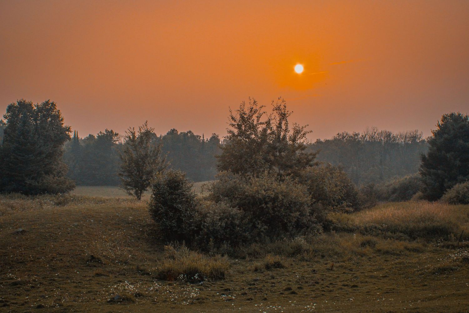 Orange sun sets over a misty rural landscape with silhouetted trees and shrubs.