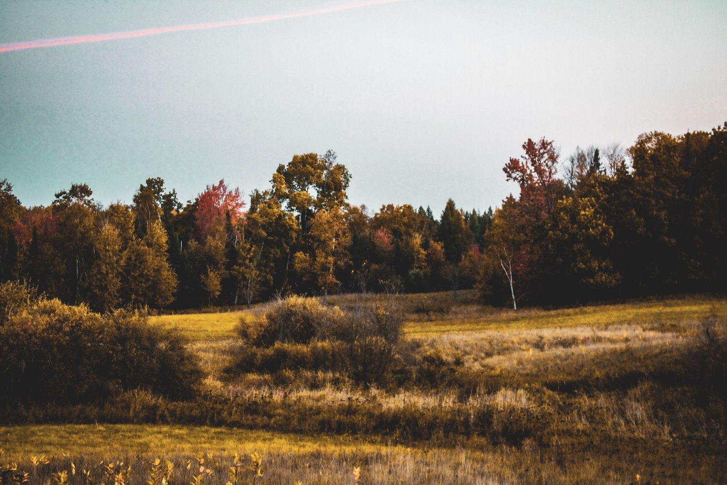 A panoramic autumn landscape shows rolling hills with golden grass and vibrant fall foliage along the treeline.