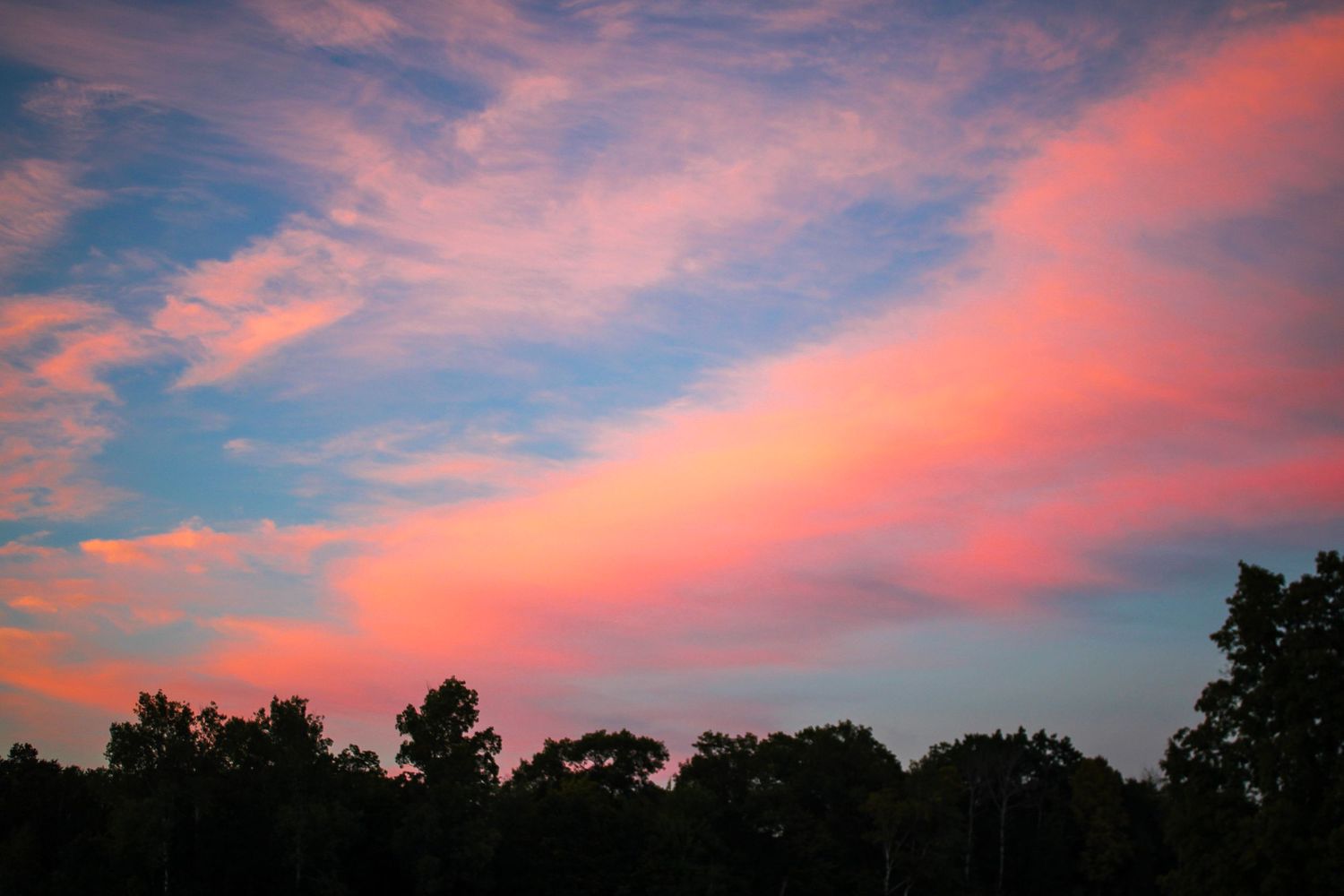 Dramatic pink and orange sunset sky with wispy clouds and dark tree silhouettes.