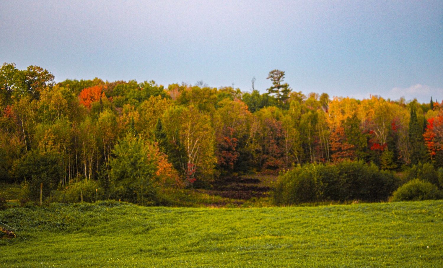 Panoramic autumn landscape showing vibrant fall foliage on rolling hills against a blue sky.