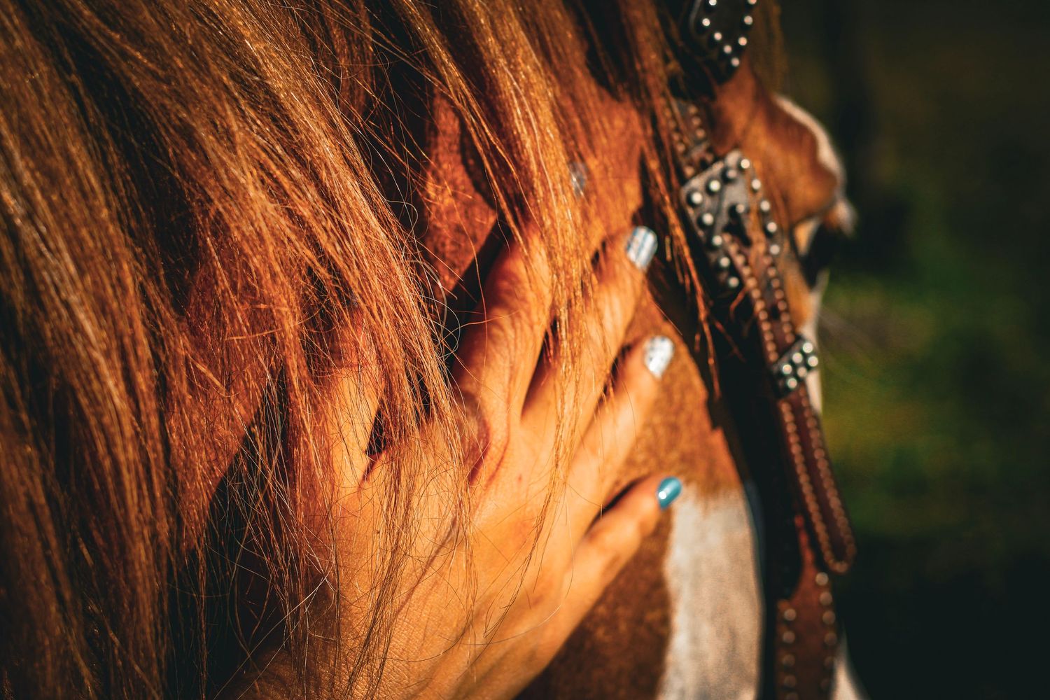 Close-up of a hand with blue nails gently stroking a brown horse's mane with a decorative bridle visible.