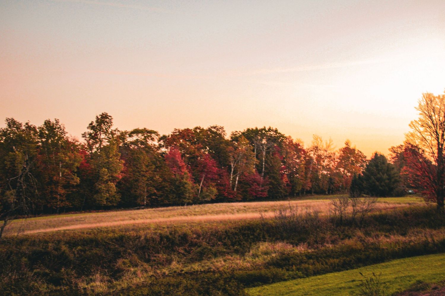 Golden sunset illuminates rolling countryside hills with autumn trees in silhouette.