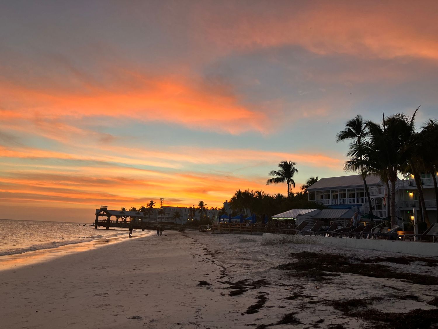 Stunning beach sunset panorama with silhouetted palm trees and orange-painted sky.