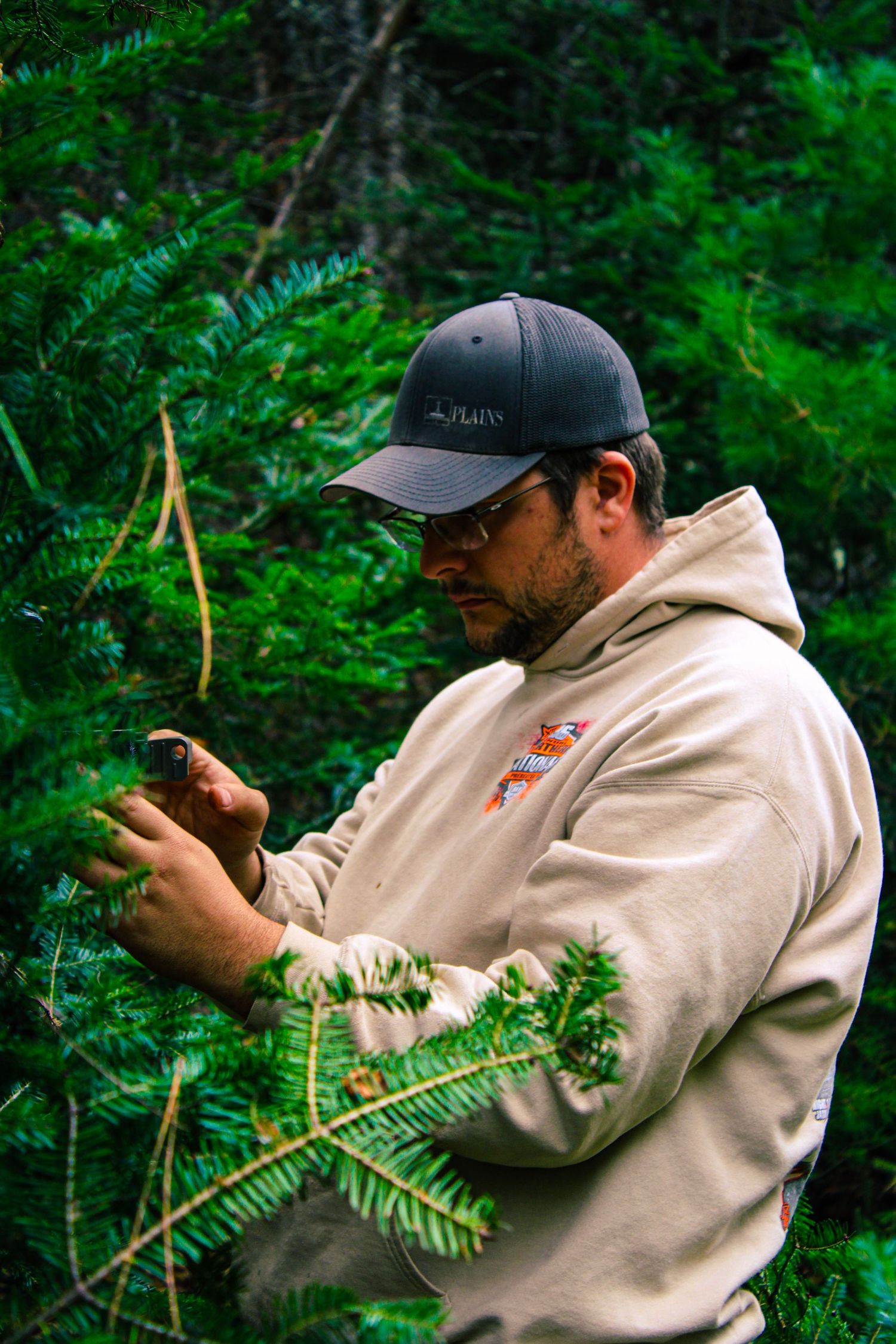 Person demonstrating outdoor activities among evergreen branches in a forest setting.