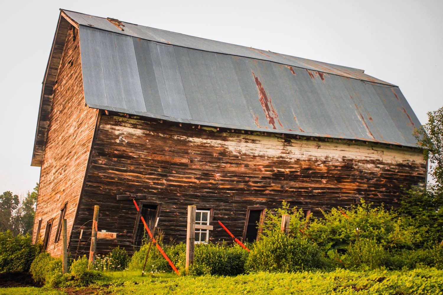 An old weathered barn with rustic wooden walls and metal roof sits amid overgrown grass.