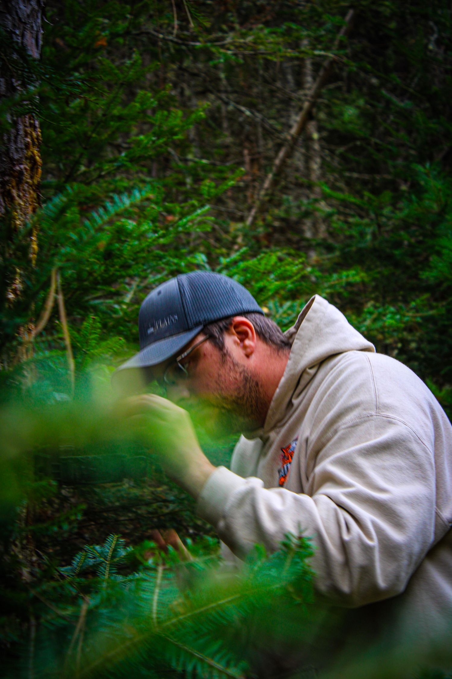 Person in baseball cap and hoodie crouches among dense green forest foliage.