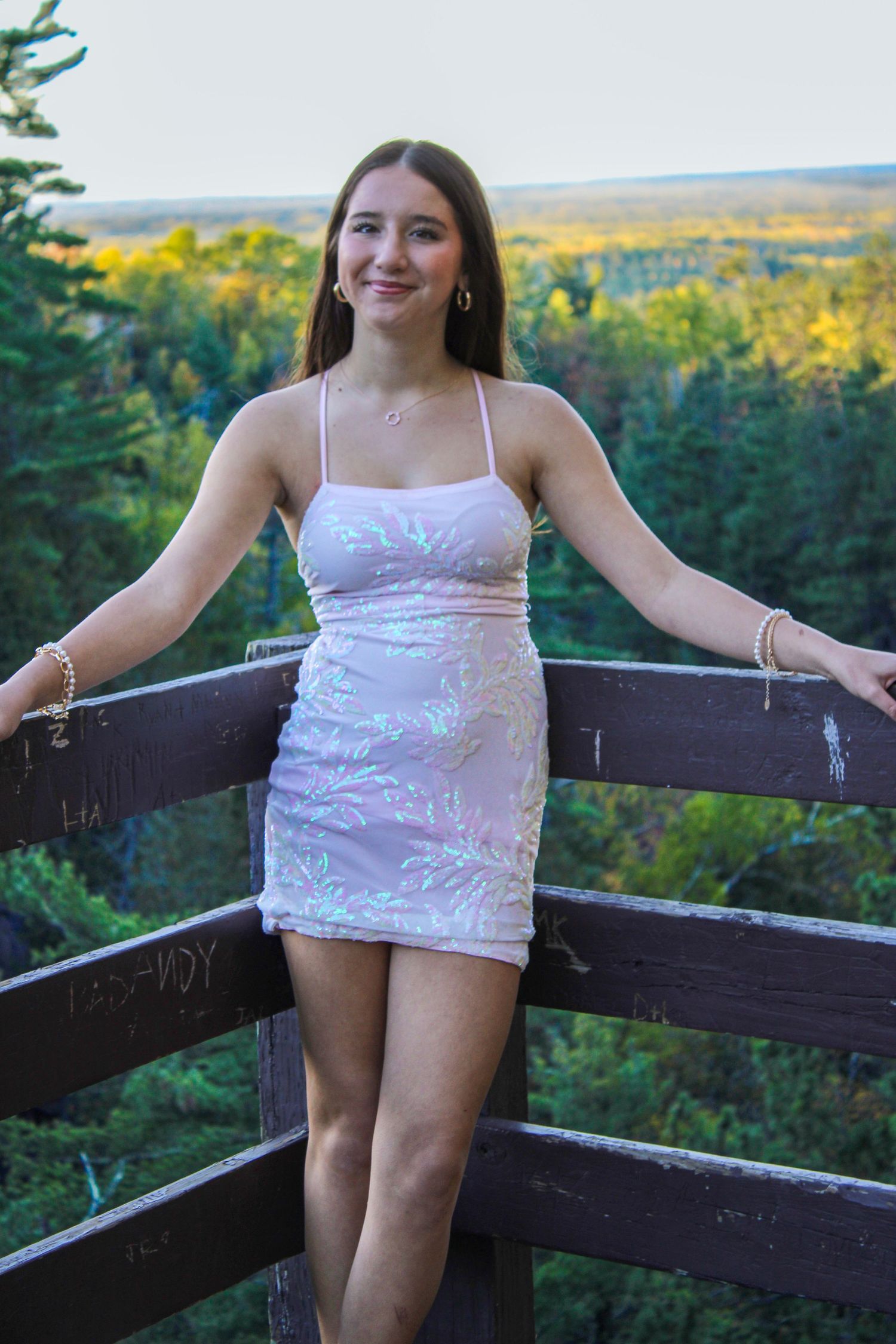 Scenic autumn forest overlook with wooden railing during golden hour.