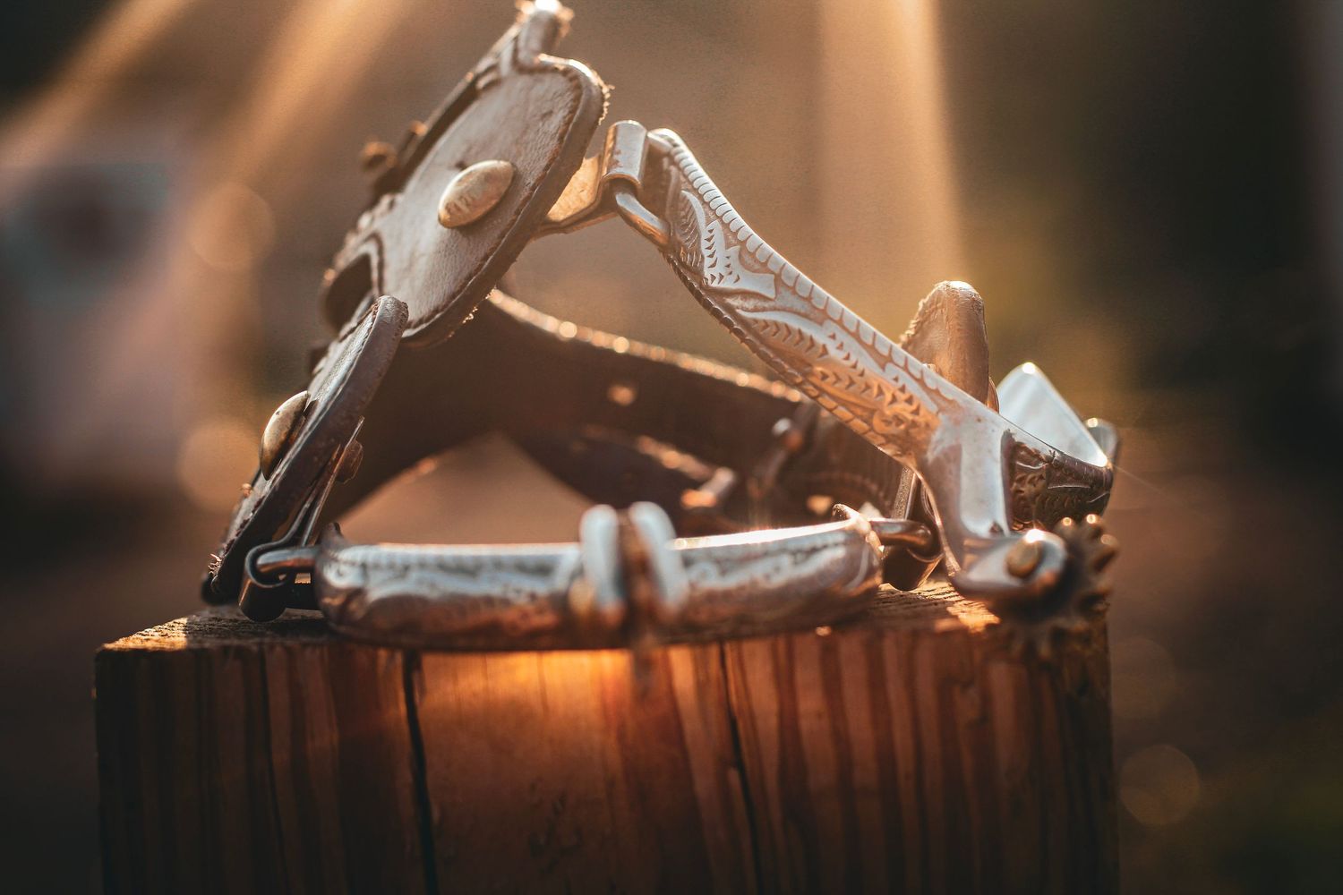 Rustic leather sandals resting on a wooden stump in warm golden sunlight outdoors.