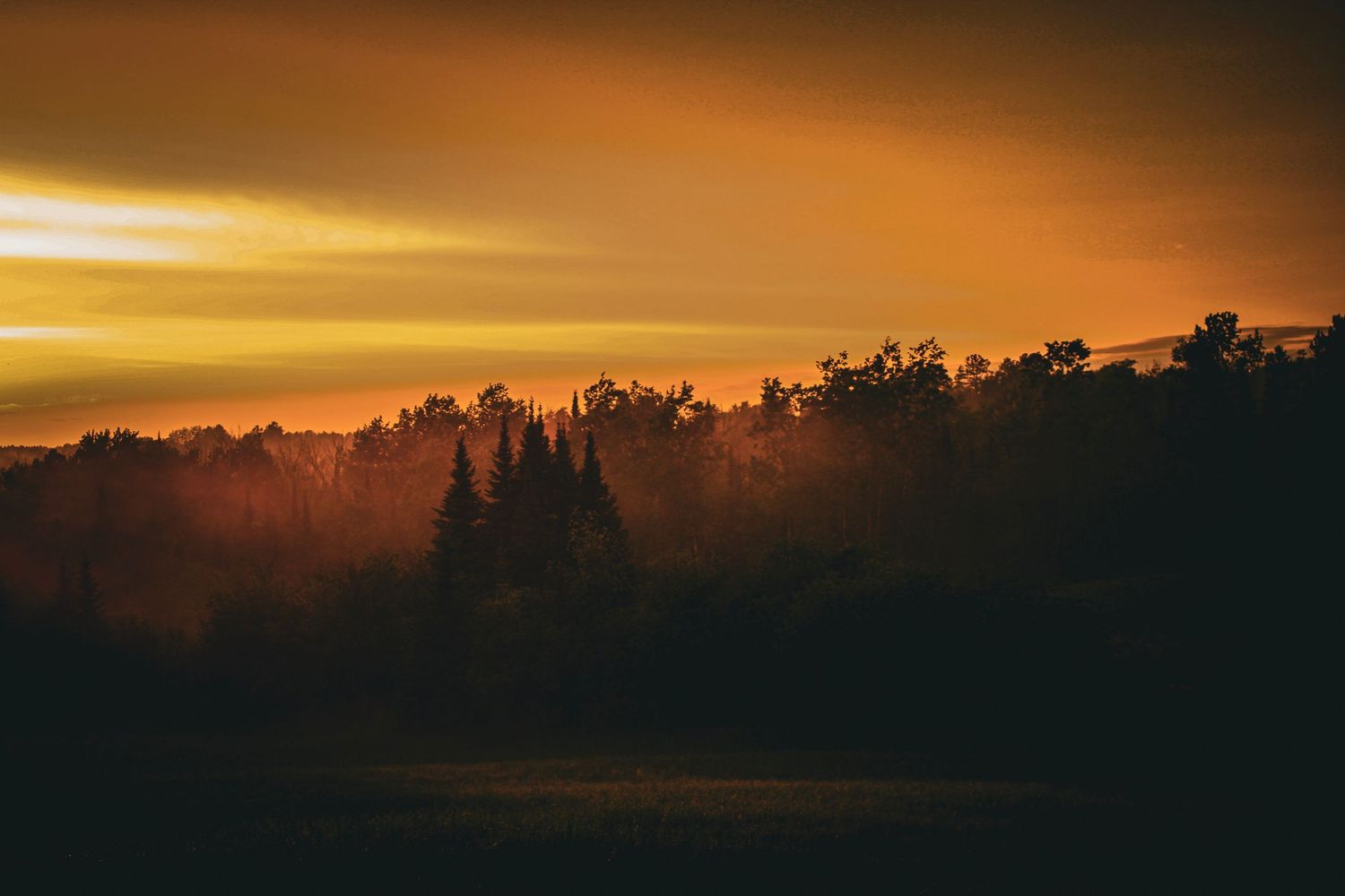 Dramatic orange and golden sunset silhouettes a treeline against a darkening sky with vibrant warm colors.