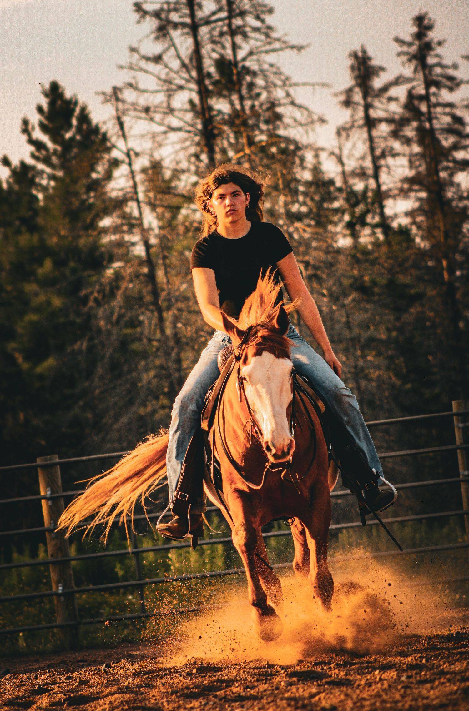 A young rider gallops bareback on a chestnut horse, kicking up dust in a golden-lit outdoor arena surrounded by trees.