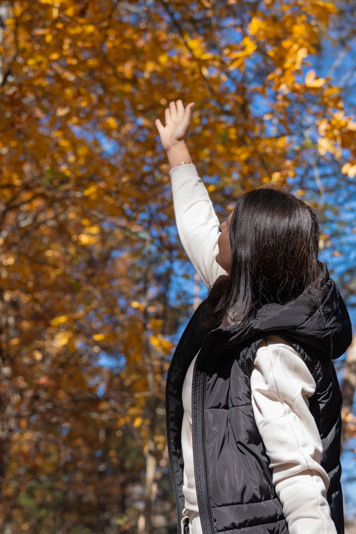 Person in black vest and white sweater reaching up towards autumn foliage in outdoor setting.