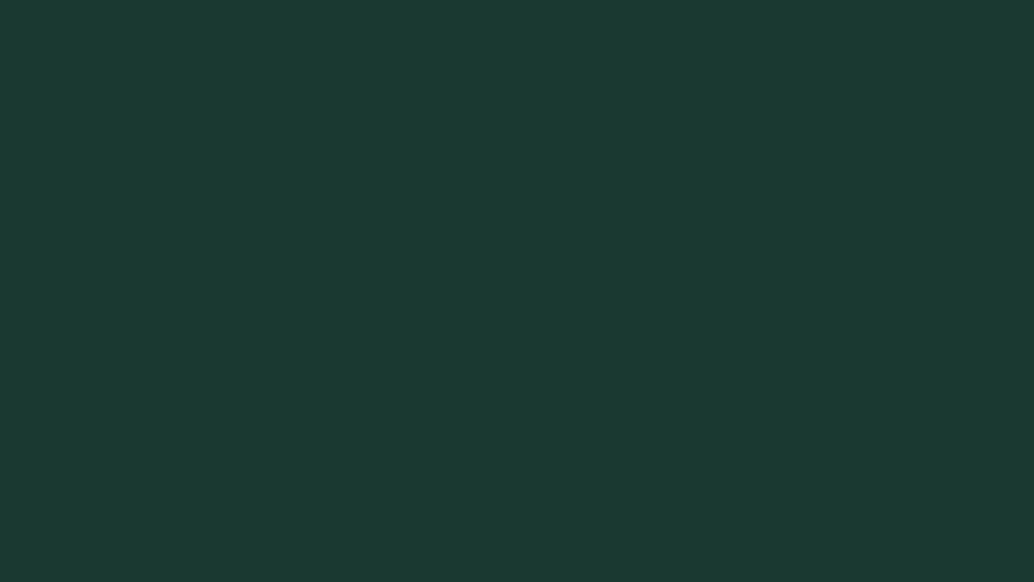 Solid dark green background texture.