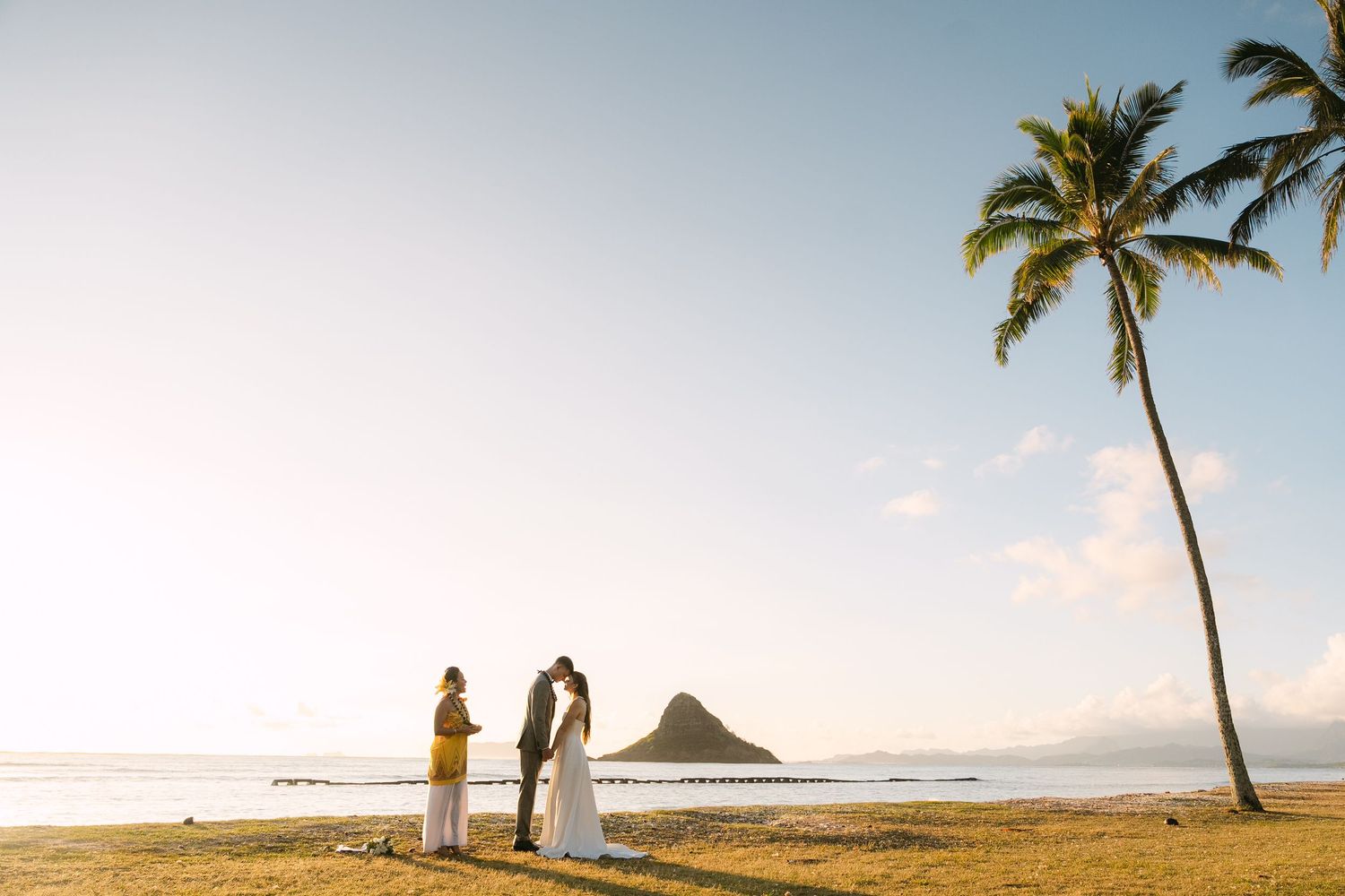 A scenic beach wedding ceremony setup with palm trees and ocean views at sunset in Hawaii.