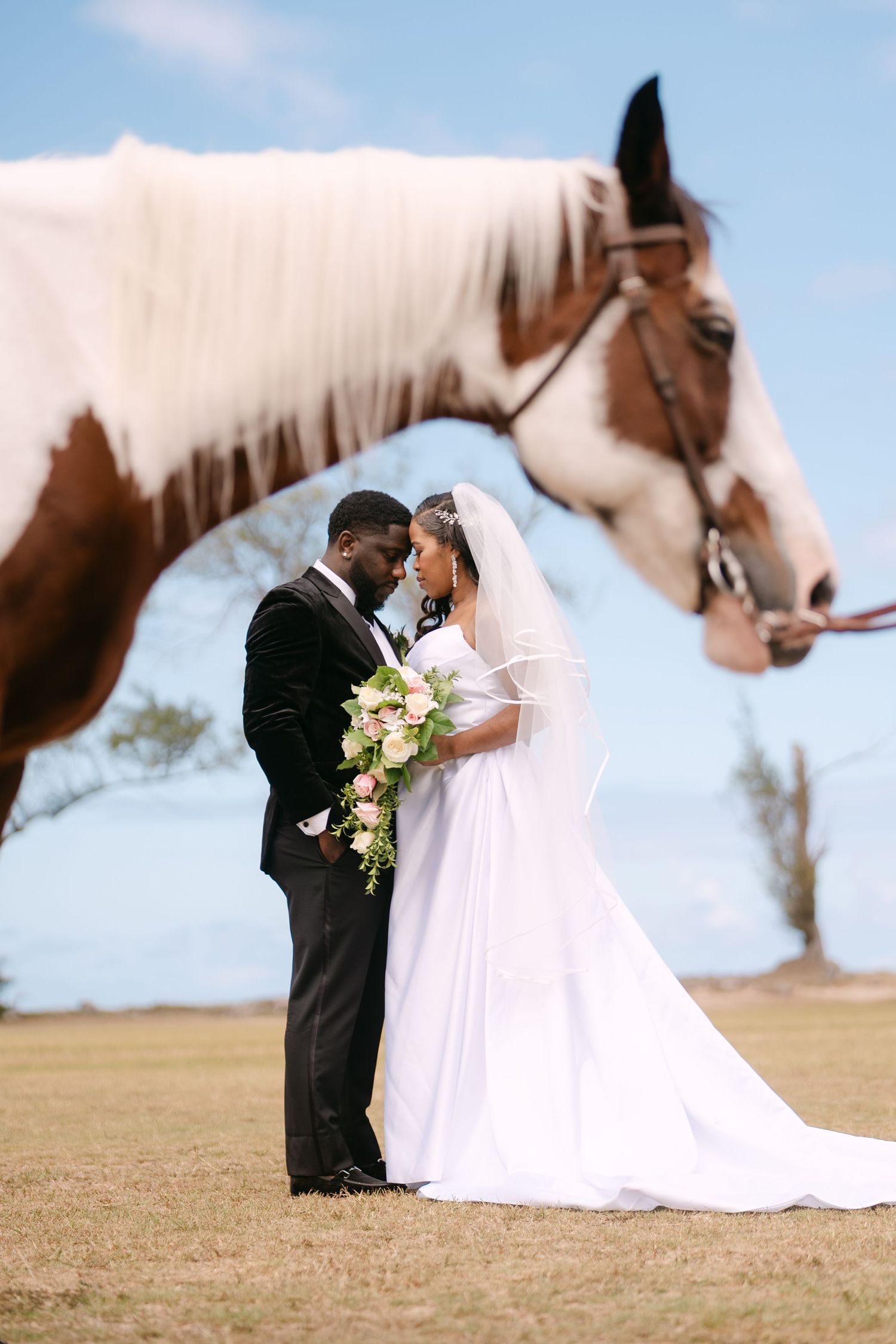 Bride and groom share romantic moment in wedding attire outdoors with a brown and white paint horse beside them.