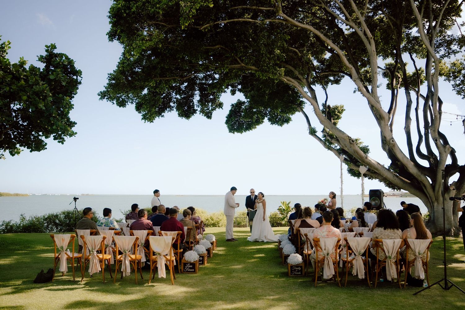 Wedding ceremony guests gather under large trees overlooking an ocean vista during a beautiful outdoor celebration.