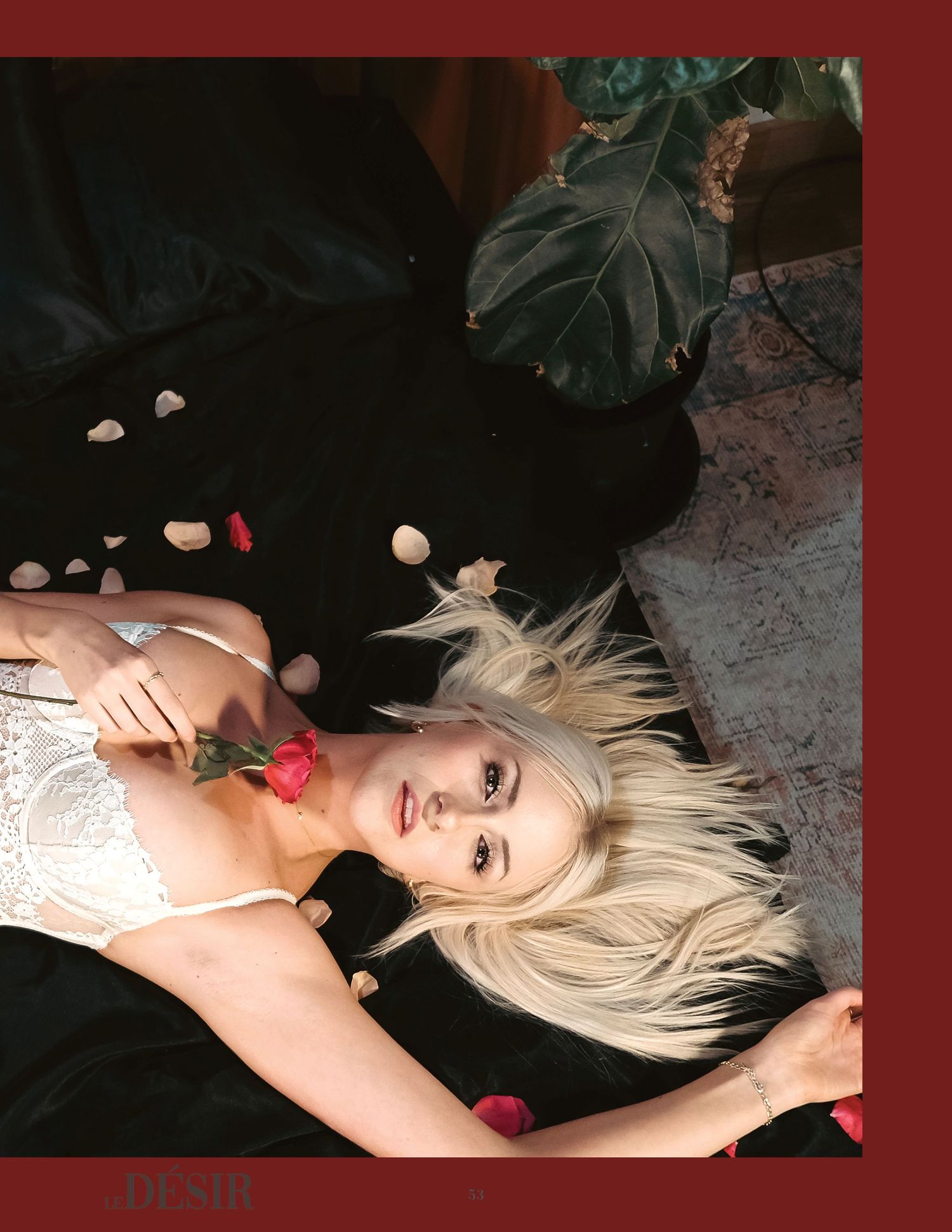 Fashion photo with rose petals scattered on black fabric creating romantic ambiance.