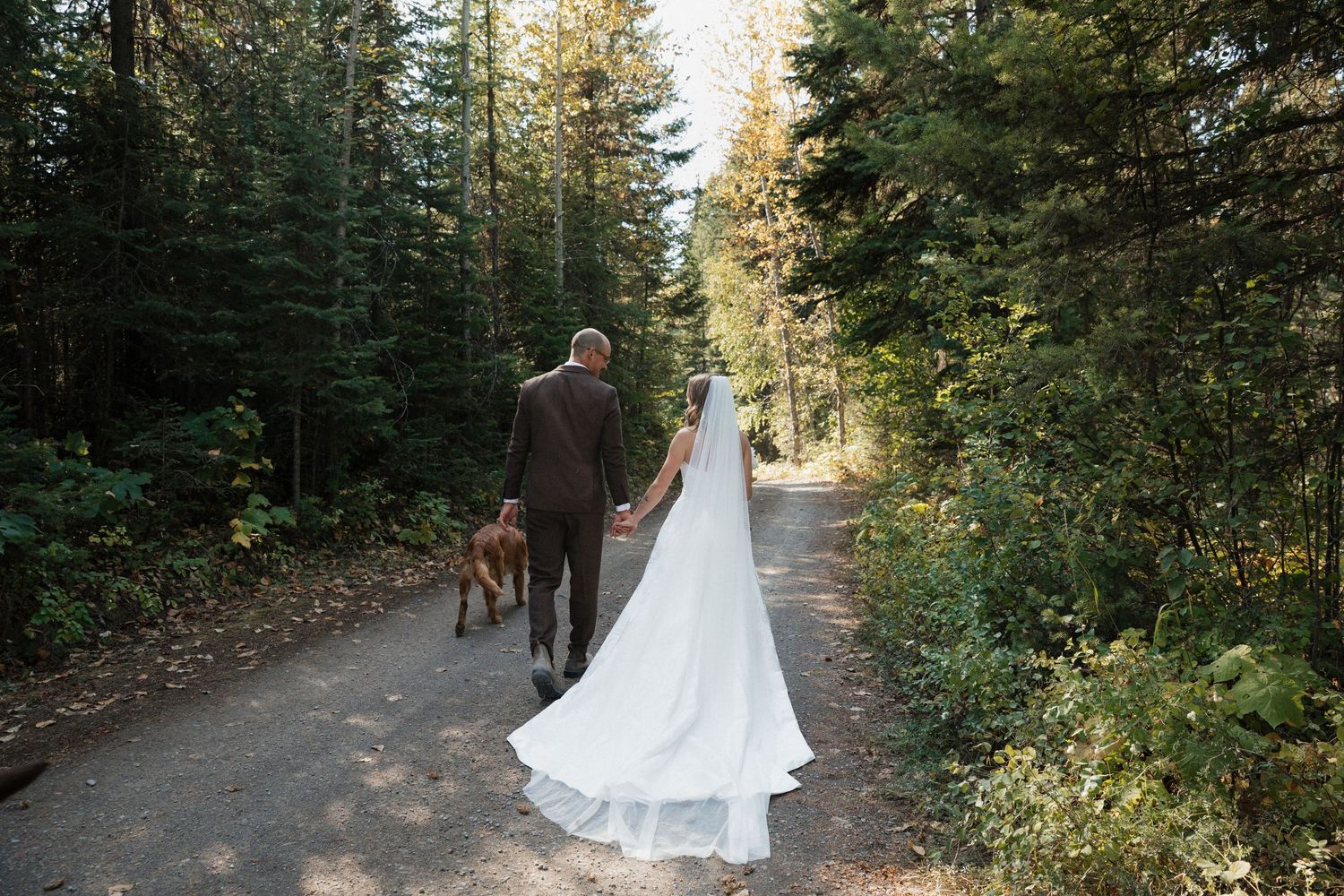 A couple walks down a tree-lined forest path with sunlight filtering through the autumn foliage.