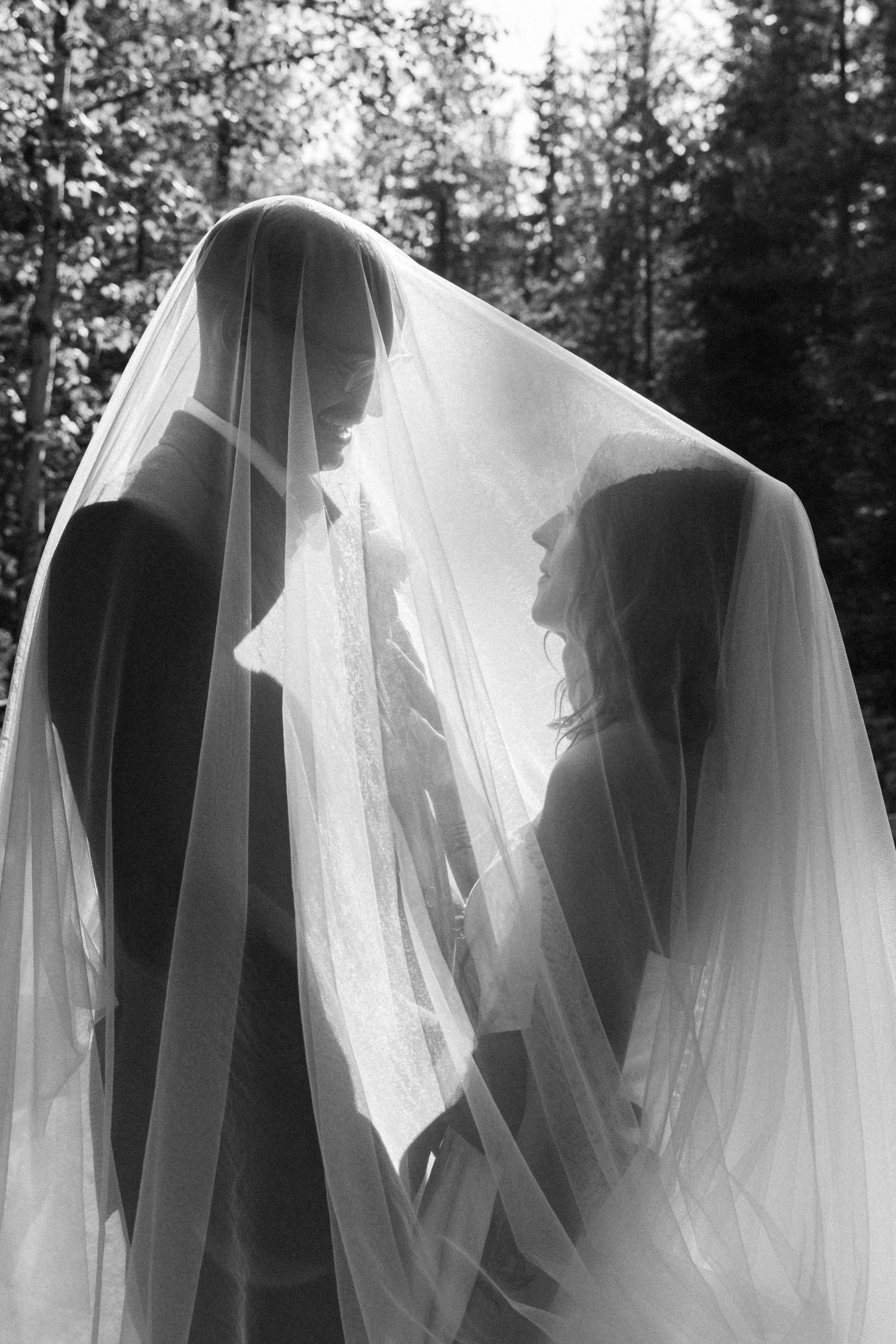 Black and white wedding photo of bride and groom sharing an intimate moment under a flowing veil outdoors.