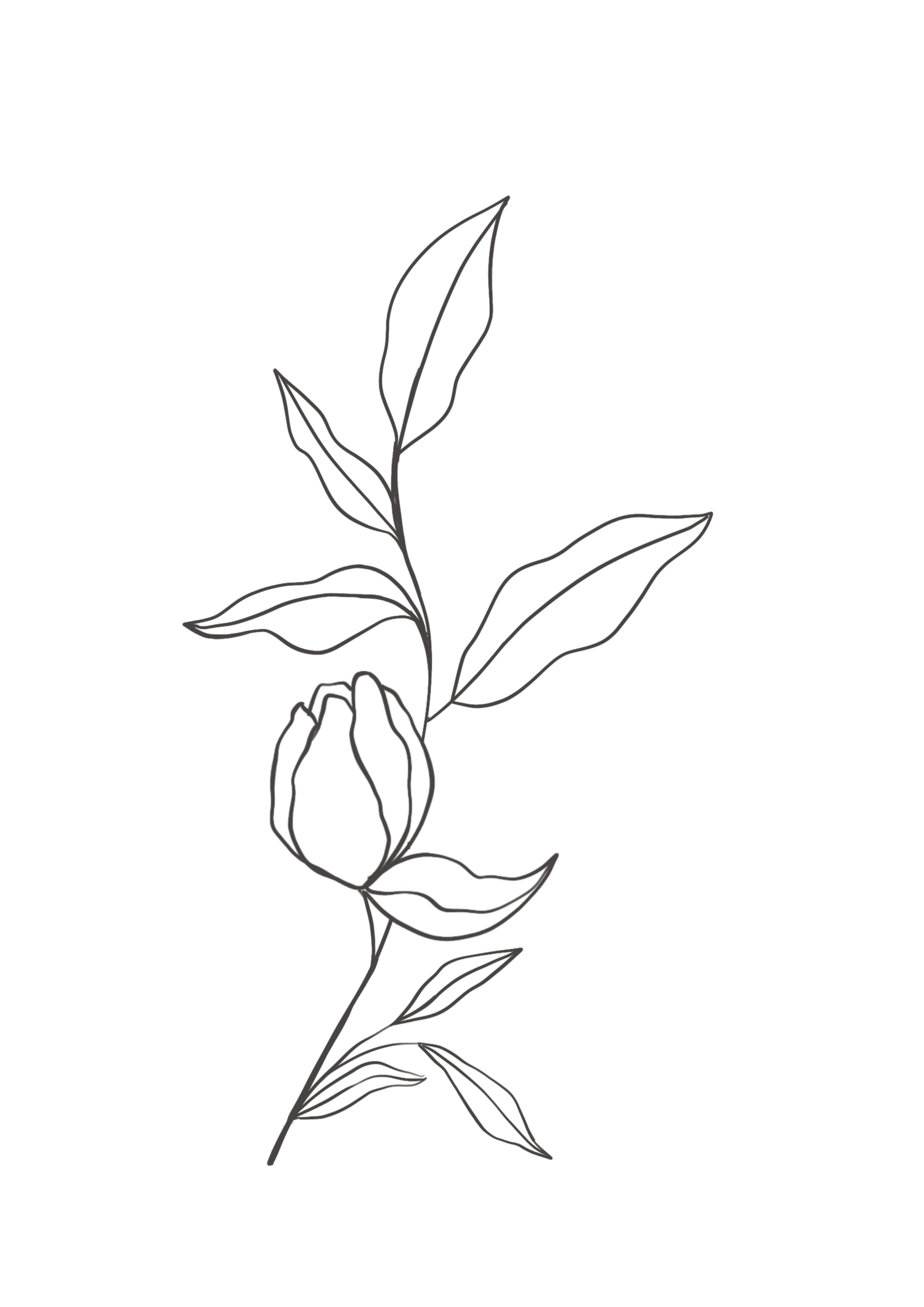Minimal line drawing of a delicate flower bud with leaves on a single stem in simple black and white outline style.