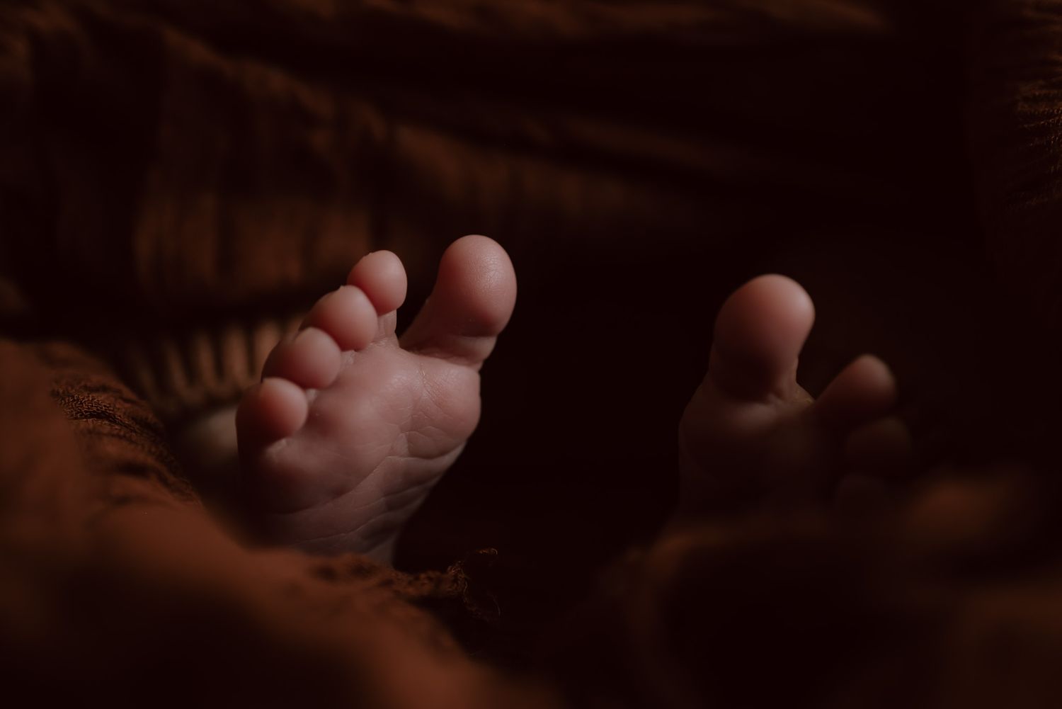 Close-up of newborn baby feet peeking out from warm brown blankets in soft, dim lighting.