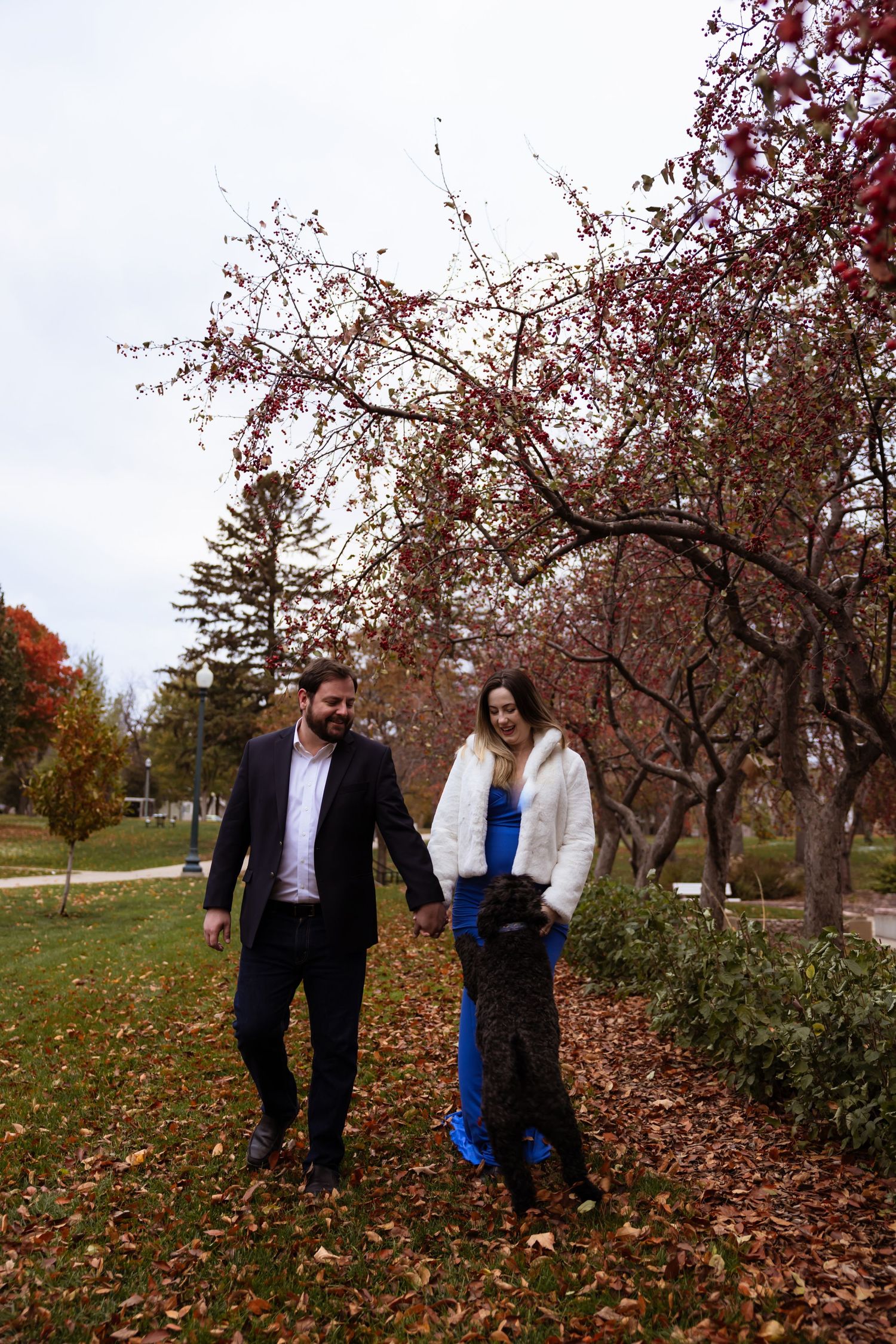 Maternity session for expecting mother. The couple enjoys a walk with their dog.