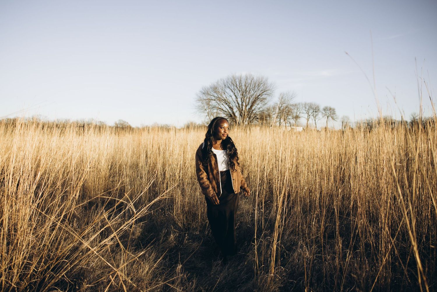 A silhouette stands amidst golden tall grass at sunset with bare trees in the background.