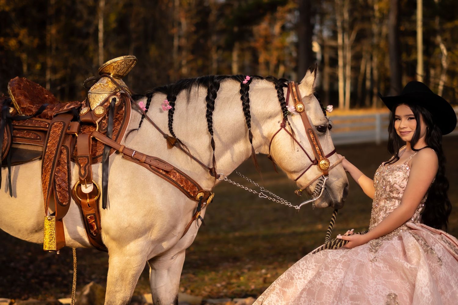 A white horse with western saddle stands beside someone in a pink formal gown during an autumn photoshoot.