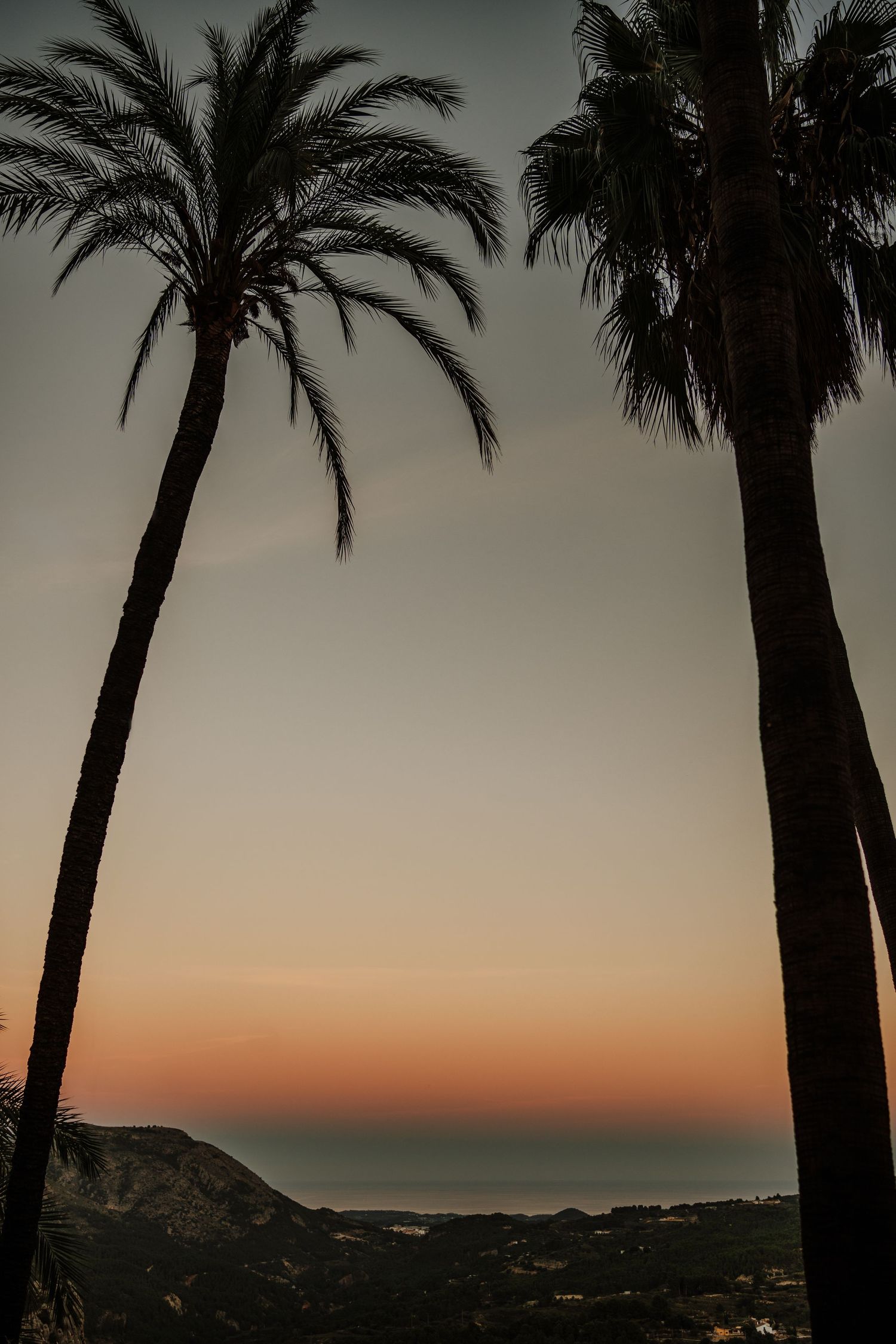 Fotografía de contexto desde Guadalest, se puede observar el mar mediterraneo con dos palmeras a contraluz. En Alicante de Area Estudio