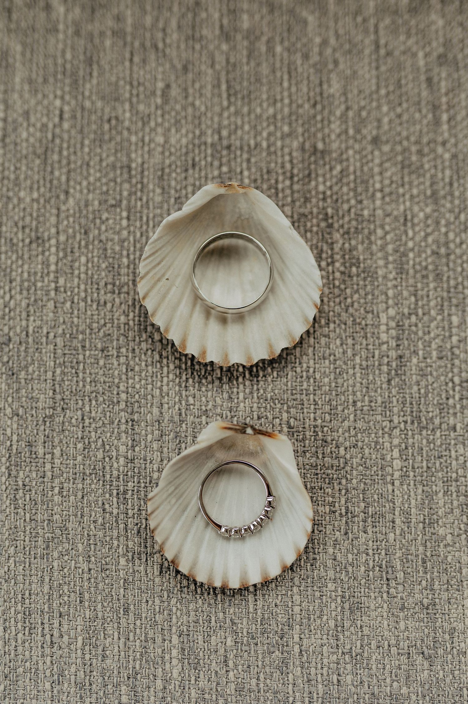 Seashells and wedding rings on this special day