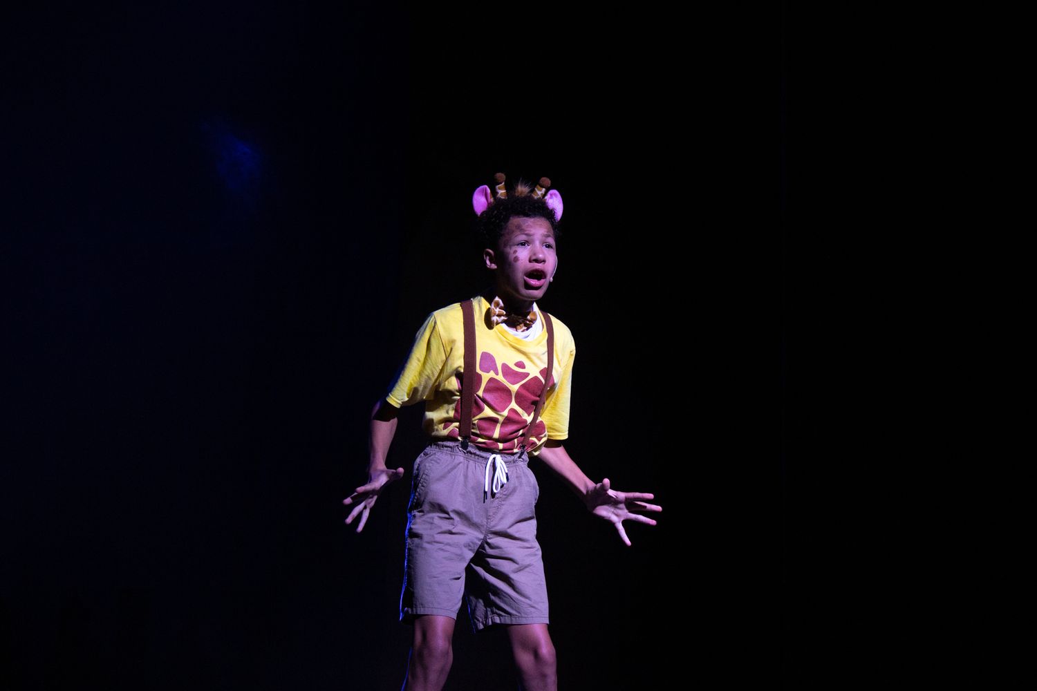 Madagascar Jr. - Case Jr. Theatre