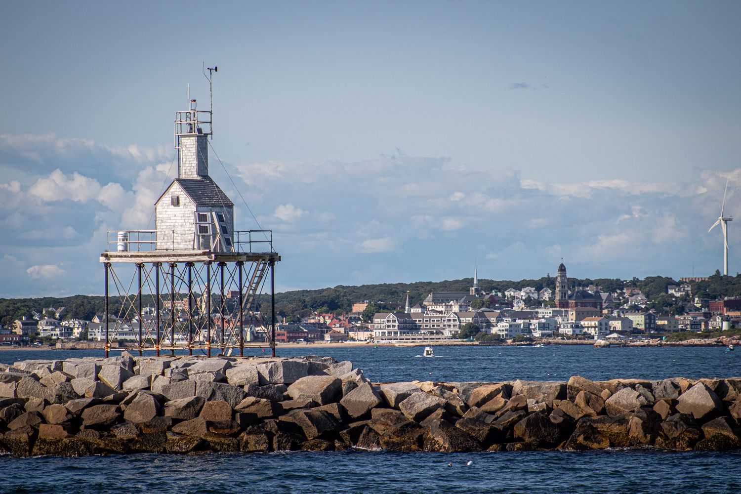 Whale Watch Photo
